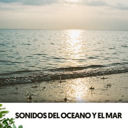 Sonidos del Oceano y el Mar: Cuna de Sueños - Ocean Sounds Plus
