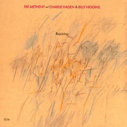 Rejoicing - Pat Metheny
