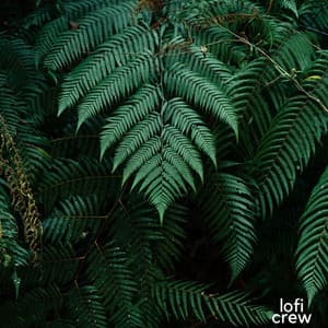 Relajación Jazzística - Office Time