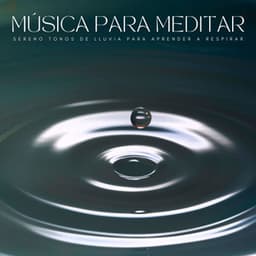 Música Para Meditar: Sereno Tonos De Lluvia Para Aprender A Respirar - Meditacion Budista Maestros