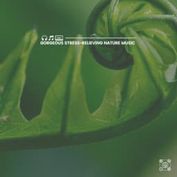 Gorgeous Stress-Relieving Nature Music - Island Nature Sounds