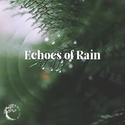 Echoes of Rain - Balsa Rain