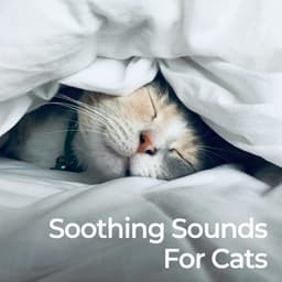 Soothing Sounds for Cats - Music For Cats