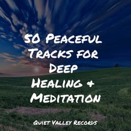 50 Peaceful Tracks for Deep Healing & Meditation - Brown Noise