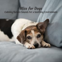 Bliss for Dogs: Calming Nature Sounds for a Soothing Environment - Ultimate Sounds of Nature