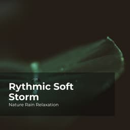 Rythmic Soft Storm - Nature Rain Relaxation