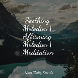 Soothing Melodies | Affirming Melodies | Meditation - Pacific Rim Nature Sounds