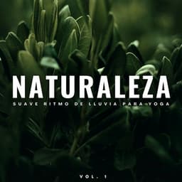 Naturaleza: Suave Ritmo De Lluvia Para Yoga Vol. 1 - Lluvia de yoga