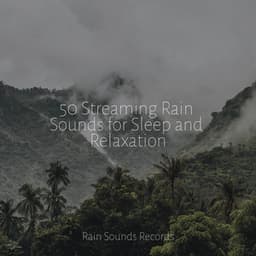 50 Streaming Rain Sounds for Sleep and Relaxation - Relaxation