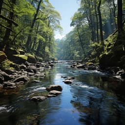 Reposo Fluvial: La Belleza Nocturna De Las Aguas Tranquilas - DNA de naturaleza