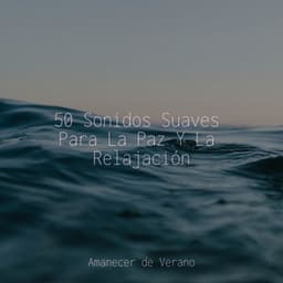50 Sonidos Suaves Para La Paz Y La Relajación - Sons da Natureza