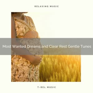! Most Wanted Dreams and Clear Rest Gentle Tunes - Womb Sound