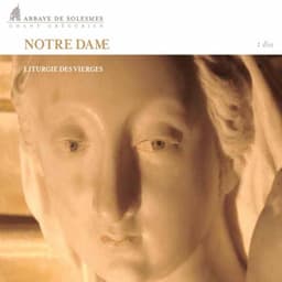 Notre Dame - Traditional