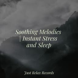 Soothing Melodies | Instant Stress and Sleep - Rising Higher Meditation