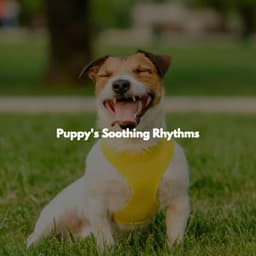 Puppy's Soothing Rhythms - Chill Cafe Music