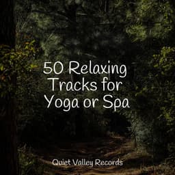 50 Relaxing Tracks for Yoga or Spa - Rainfall