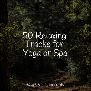 50 Relaxing Tracks for Yoga or Spa - Rainfall