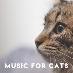Music for Cats: Bird Sounds for Cats - Music for Pets Library