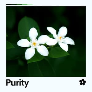 Purity - Spa & Spa