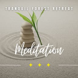 Tranquil Forest Retreat: Spa in Nature's Embrace - State of Distraction