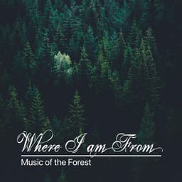 Where I Am From - Music of the Forest