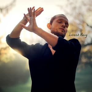 Tai Chi Mantras - Inseok Kang