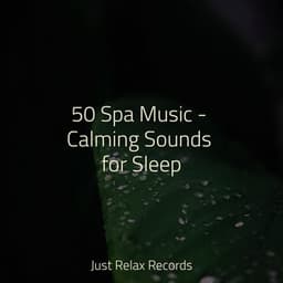 50 Spa Music - Calming Sounds for Sleep - Children's Music