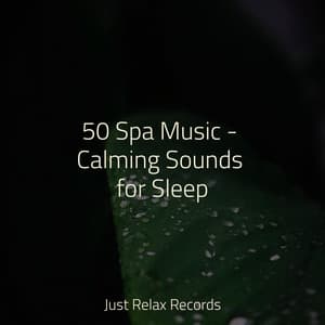 50 Spa Music - Calming Sounds for Sleep - Children's Music