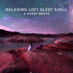 Relaxing Lofi Sleep Chill & Study Beats - Lo-fi Chill Zone
