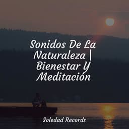 Sonidos De La Naturaleza | Bienestar Y Meditación - Música para Relajarse Profundamente