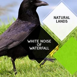 White Noise of Waterfall - Natural Lands - Sleepy Times