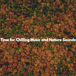 Time for Chilling Music and Nature Sounds - Música de Trabajo