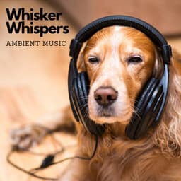 Whisker Whispers: Ambient Music - Total Music