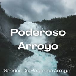 Sonidos Del Poderoso Arroyo - Resplandor de la naturaleza
