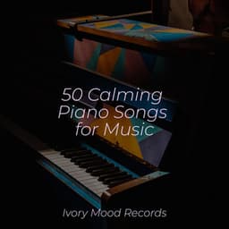 50 Calming Piano Songs for Music - Musica para Bebes
