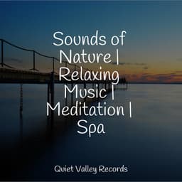 Sounds of Nature | Relaxing Music | Meditation | Spa - Relaxing Nature Sounds Collection
