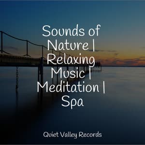 Sounds of Nature | Relaxing Music | Meditation | Spa - Relaxing Nature Sounds Collection