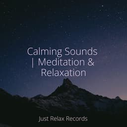 Calming Sounds | Meditation & Relaxation - Música Relajante para Bebés