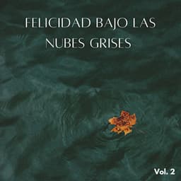 Felicidad Bajo Las Nubes Grises Vol. 2 - Sonidos de lluvia ASMR