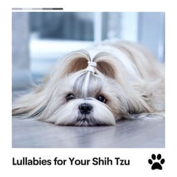 Lullabies for Your Shih Tzu - Sleeping Music For Dogs