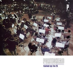 Roseland NYC Live 25 - Portishead