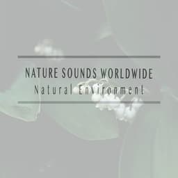 Natural Environment - Nature Sounds Worldwide