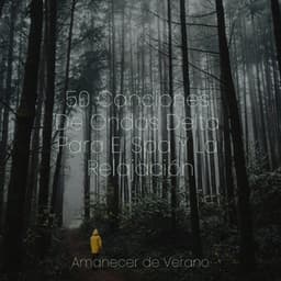 50 Canciones De Ondas Delta Para El Spa Y La Relajación - Chillout Lounge