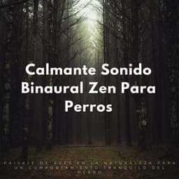 Calmante Sonido Binaural Zen Para Perros: Paisaje De Aves En La Naturaleza Para Un Comportamiento Tranquilo Del Perro - Pájaros en la mañana