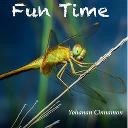 Fun Time - Yohanan Cinnamon
