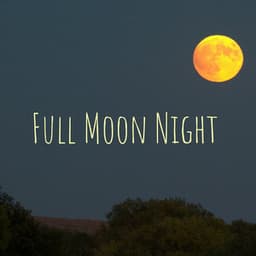 Full Moon Night - Waves Hard