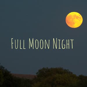 Full Moon Night - Waves Hard