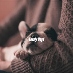 Lovely Days - Rainy Day Jazz