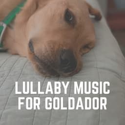 Lullaby Music for Goldador - Sleeping Music For Dogs