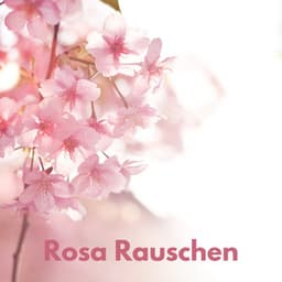 Rosa Rauschen - Weißes Rauschen